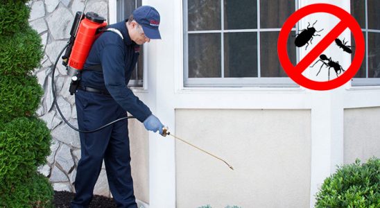 Çobanlar Hamam Böceği İlaçlama böcek ilaçlama ve haşere kontrolü — ilaclama-tr.com